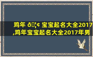 鸡年 🦢 宝宝起名大全2017,鸡年宝宝起名大全2017年男孩